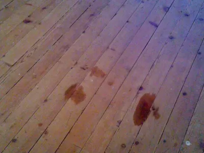 Rénovation de parquet-Après Ponçage-